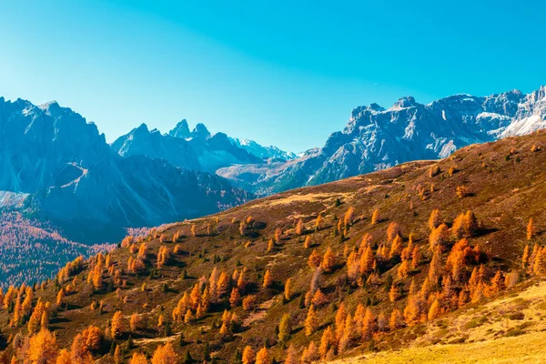 Outono Nos Alpes Italianos — Fotografia de Stock