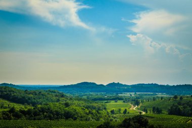 İtalya, Collio 'daki üzüm bağlarına fırtına yaklaşıyor.