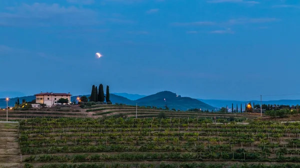 Evening Fields Rosazzo Friuli Italy Hot Summer — Stock Photo, Image