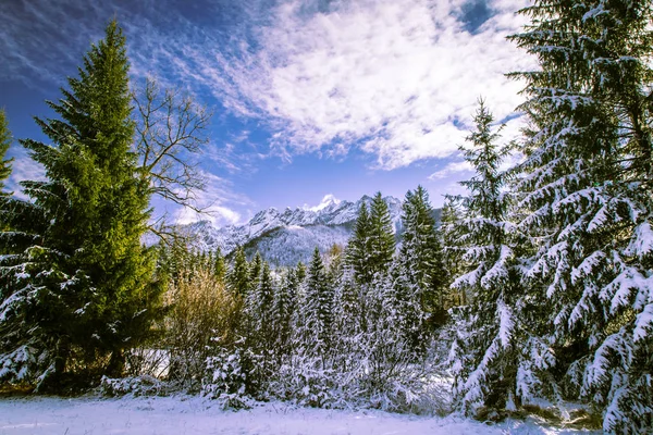 Prima Neve Dell Inverno Sulle Alpi Italiane — Foto Stock