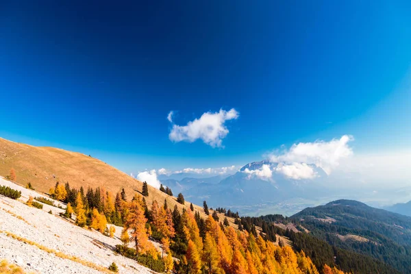 Otoño Con Follaje Los Alpes Friuli Venezia Giulia —  Fotos de Stock