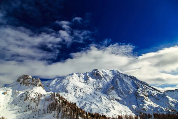 Деревина Повна Снігу Італійських Альпах — стокове фото