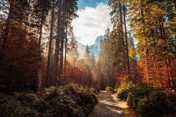 Een Landelijke Weg Italiaanse Alpen Douring Een Kleurrijke Herfst — Stockfoto