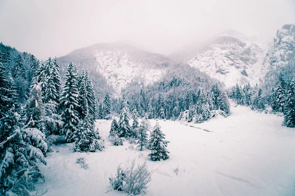 Prima Neve Dell Anno Sulle Alpi Italiane — Foto Stock