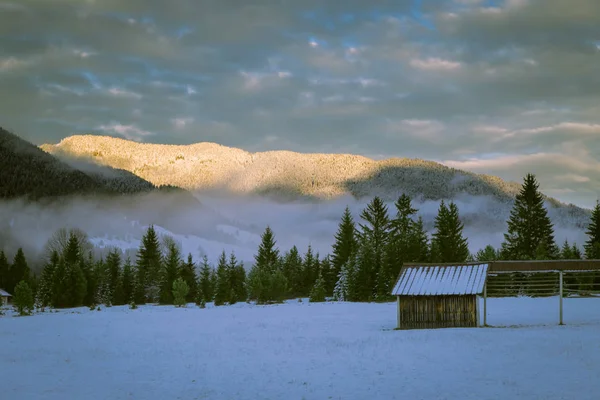 Sunset First Snowfall Italian Alps — Stock Photo, Image