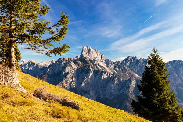 五彩缤纷的秋天 狂欢作乐的阿尔卑斯山里阳光灿烂的一天 — 图库照片