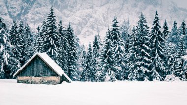 Yılın ilk karı İtalyan Alpleri'nde