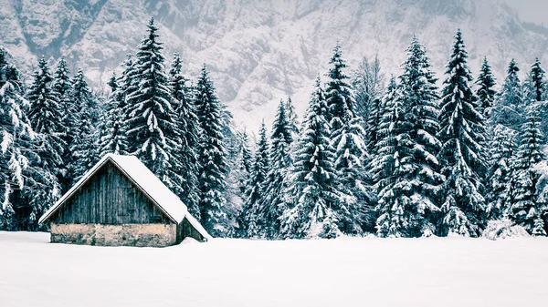 První Sníh Roce Italských Alpách — Stock fotografie