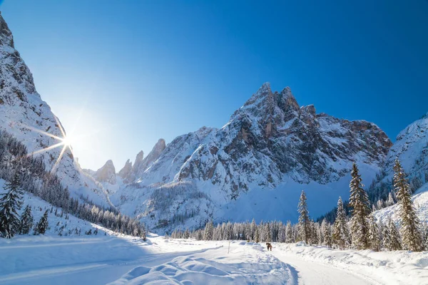 Manhã Inverno Ensolarada Nas Dolomitas Italianas — Fotografia de Stock