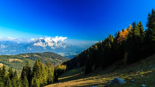 Automne Avec Feuillage Dans Les Alpes Frioul Vénétie Julienne — Photo