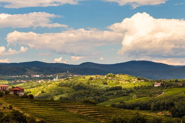 Slovenya üzüm bağlarında yağmur ve güneş