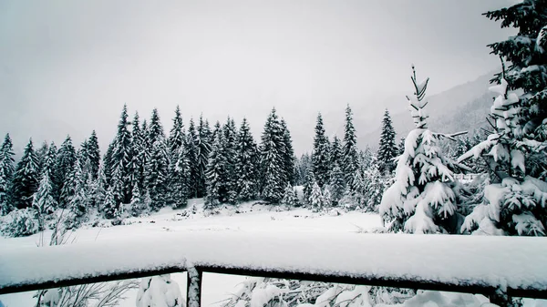 Primera Nieve Del Año Los Alpes Italianos — Foto de Stock