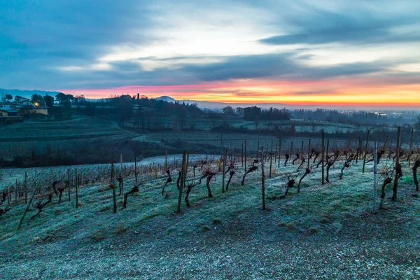 Foggy Winter Sunrise Collio Friulano Italy — Stock Photo, Image