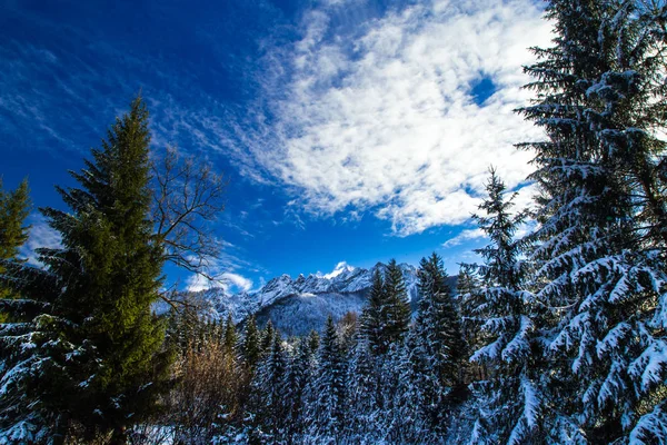 Primera Nieve Del Invierno Los Alpes Italianos — Foto de Stock