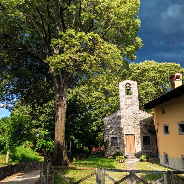Little Chapel Fields Friuli Venezia Giulia — Stock Photo, Image