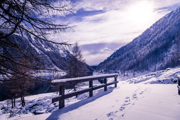 イタリアのアルプスの冬の湖 — ストック写真