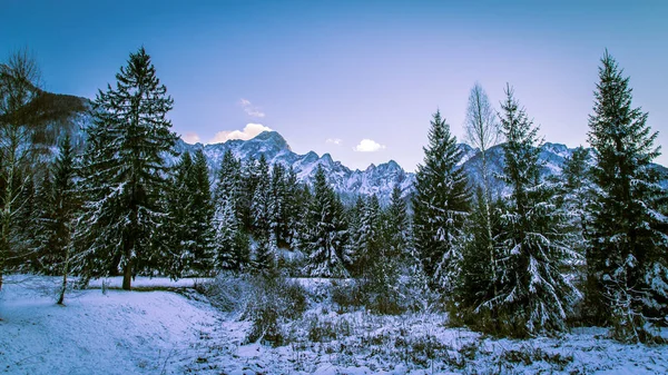 Tramonto Dopo Prima Nevicata Sulle Alpi Italiane — Foto Stock