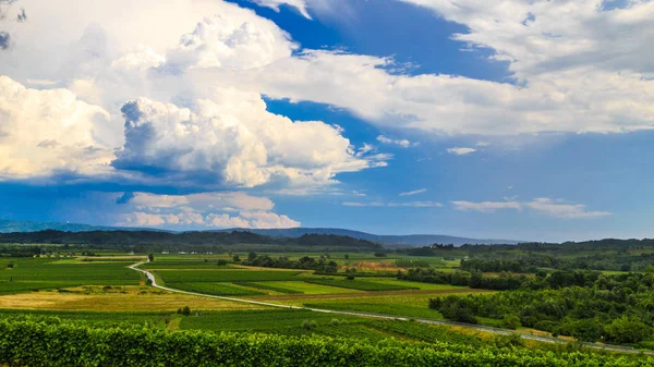 Lluvia Sol Los Viñedos Eslovenia — Foto de Stock