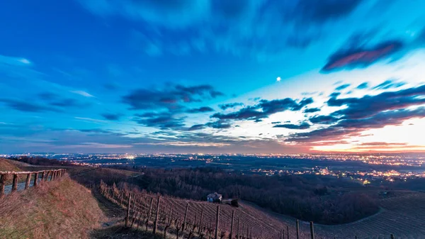 Winter Sunset Vineyard Savorgnano Friuli Venezia Giulia Italy — Stock Photo, Image