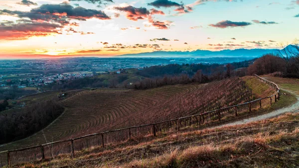 Pôr Sol Inverno Vinha Savorgnano Friuli Venezia Giulia Itália — Fotografia de Stock