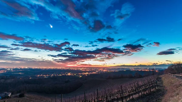 イタリア フリウリ ヴェネツィア ジュリア州サボルニャーノのブドウ畑の冬の夕日 — ストック写真