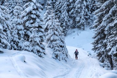 İtalyan Alplerinde Tarvisio 'nun zirveleri