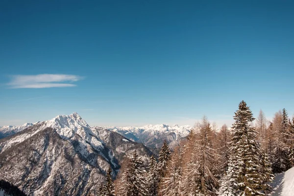 Picos Tarvisio Nos Alpes Italianos — Fotografia de Stock
