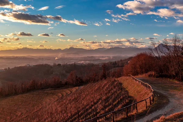 Zimowy Zachód Słońca Winnicy Savorgnano Friuli Venezia Giulia Włochy — Zdjęcie stockowe