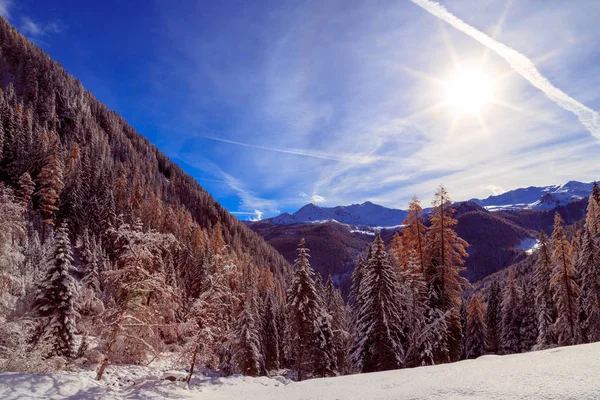 Legno Pieno Neve Sulle Alpi Italiane — Foto Stock