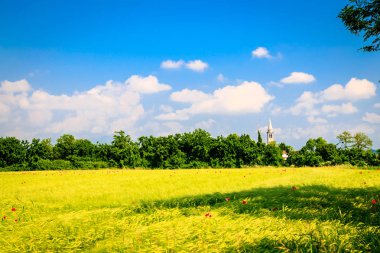 İtalya alanlarında bahar