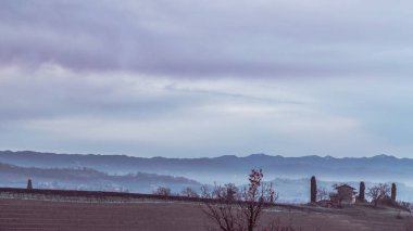 Puslu sabah soğuk üzüm bağları, İtalya