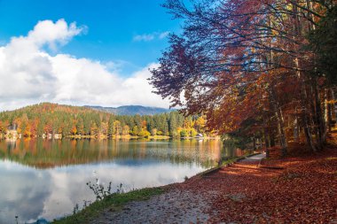 Dağ gölü, sonbahar yaprakları