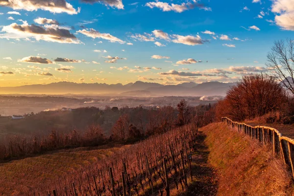 Kolorowy zachód słońca w włoskich winnic — Zdjęcie stockowe
