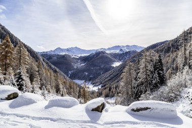 Güneşli günde Alpleri'nde kar yağışı sonra