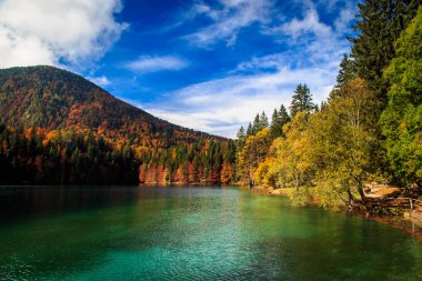 Dağ gölü, sonbahar yaprakları