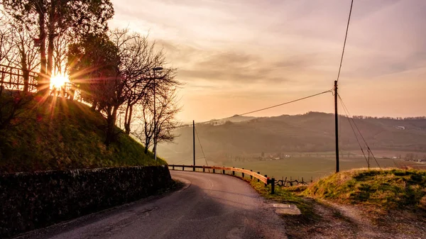 Jarní slunce ve vinicích Collio Friulano — Stock fotografie