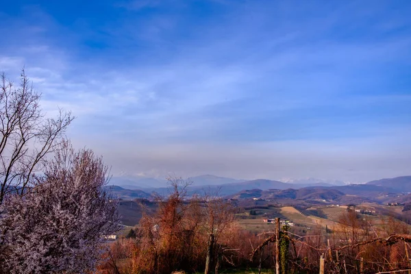 Lente zonsondergang in de wijngaarden van Collio Friulano — Stockfoto