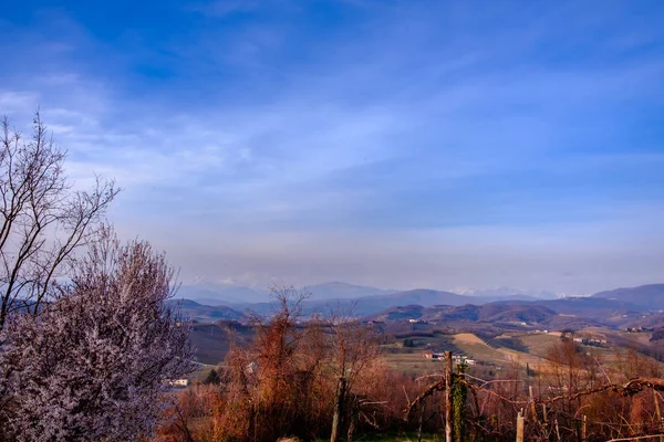 Tramonto primaverile nei vigneti del Collio Friulano — Foto Stock