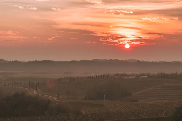 Puesta de sol de primavera en los viñedos de Collio Friulano —  Fotos de Stock