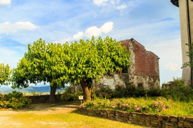 Çiçekli eski çiftlik