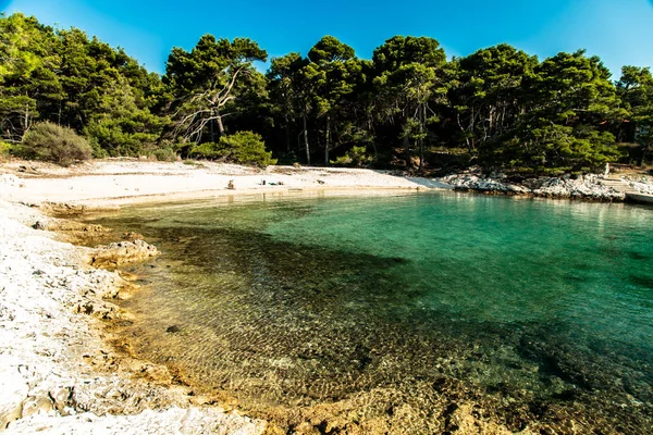 Regatta egy öbölben, Horvátország — Stock Fotó