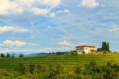 Rosazzo üzüm bağları gün batımı