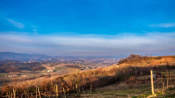 Pôr-do-sol primavera nas vinhas de Collio Friulano — Fotografia de Stock