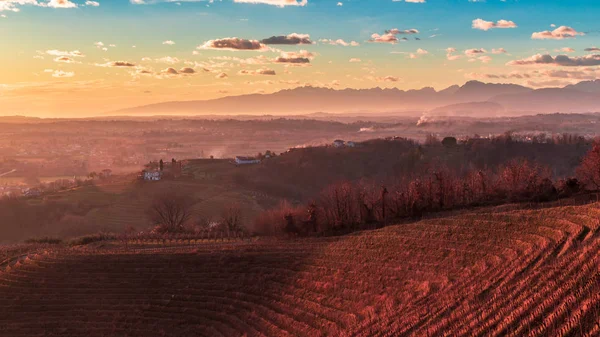 Farbenfroher Sonnenuntergang in den italienischen Weinbergen — Stockfoto