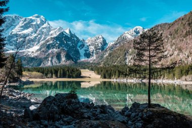 Alp gölünde bahar sabahı