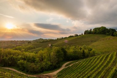 Üzüm bağları akşam fırtına