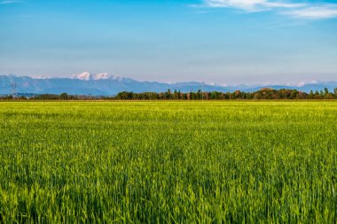 Friuli kırsalında akşam
