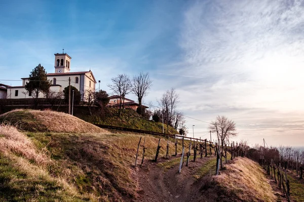 Spring sunset in the vineyards of Collio Friulano — Stock Photo, Image