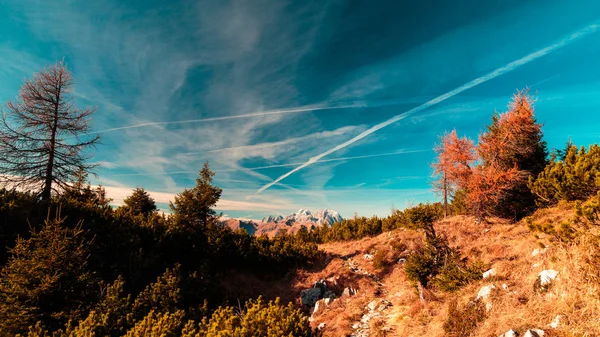 Sunny autumn day at the mount Tersadia in the italian alps — Stock Photo, Image