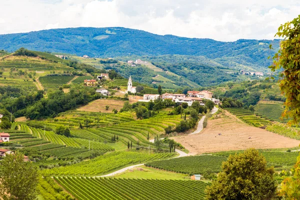 Giornata tempestosa nei vigneti di Brda, Slovenia — Foto Stock